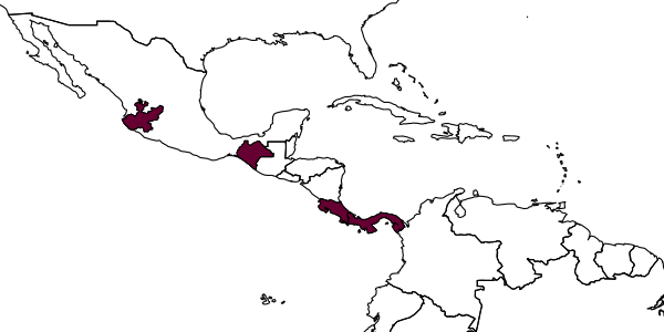 map of Zonopimpla lorraineae     Gauld, Ugalde-Gómez & Hanson, 1998